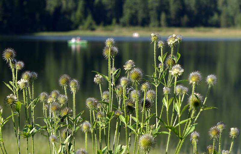 08.06.2010 Landschaft_DDC2116 Kopie.jpg